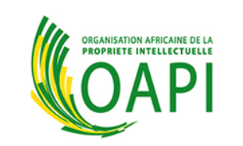非洲商标保护并不难之OAPI组织介绍